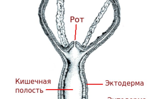 Kra26.at