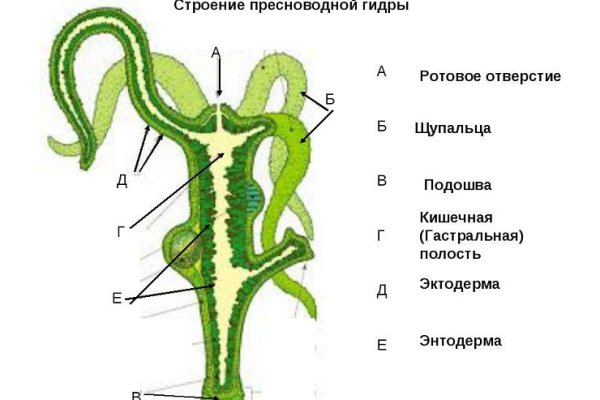 Кракен короткая ссылка