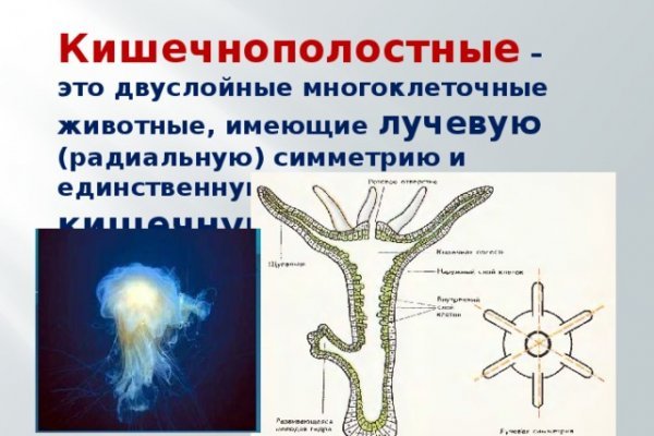 Кракен официальный сайт krakens13 at